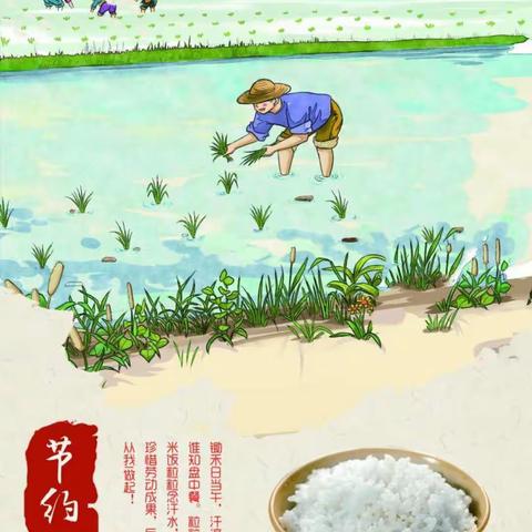 科区实验小学三年12班《节约粮食，杜绝浪费》
