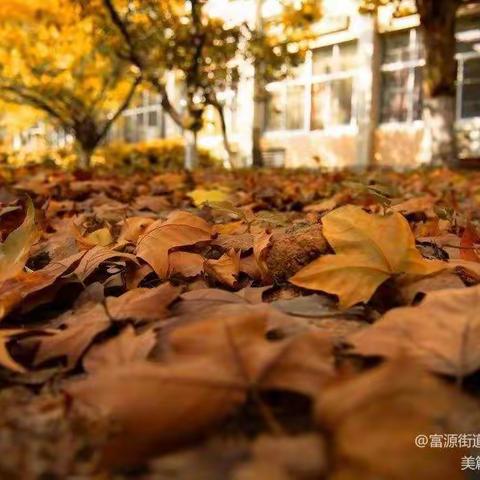 🍂遇见秋天