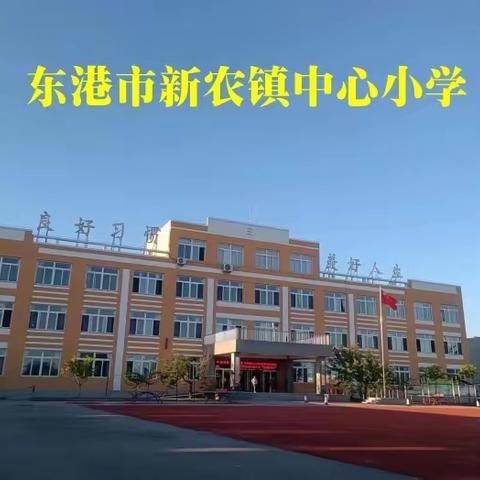 悦劳动，悦成长——新农小学主题劳动实践活动