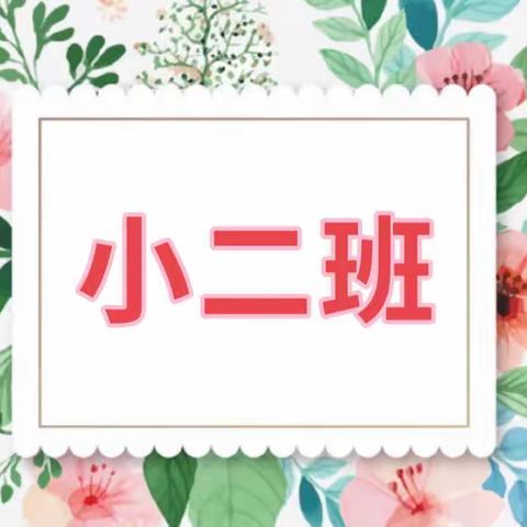 “走进花鸟鱼🫧，亲近大自然”——许昌市寇家巷幼儿园小二班社会实践活动