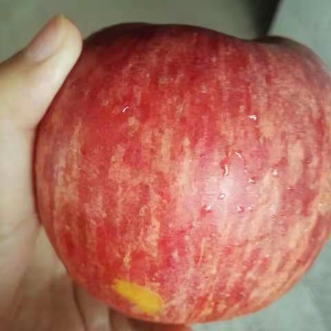 万荣苹果，一个快乐的苹果🍎