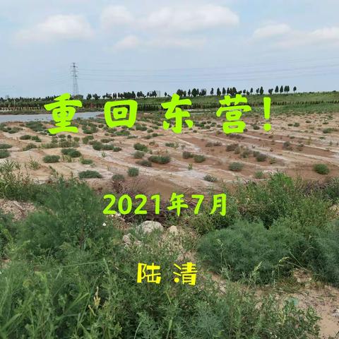 2021年7月 重回东营！