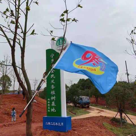 新康小学2109班植树节