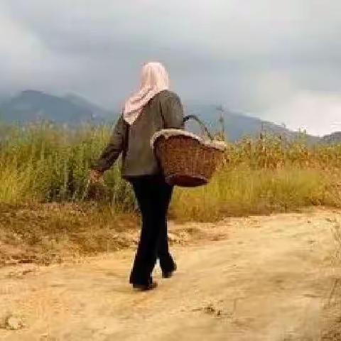 二蛋儿妈的活法 （十五）