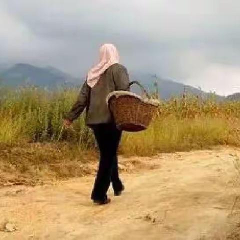 二蛋儿妈的活法 （六）