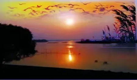 家乡宿鸭湖 (原创)