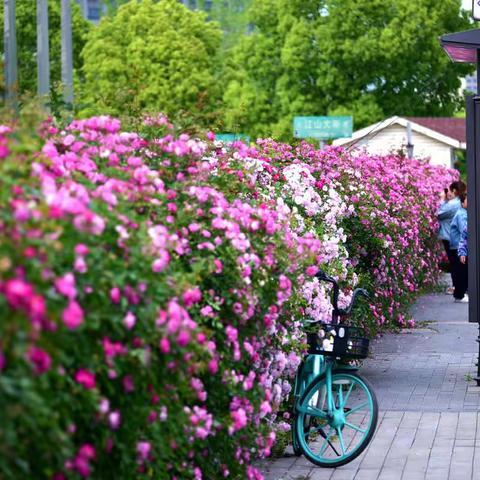 南京“最美公交站台”