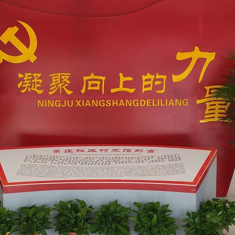 “不忘初心、牢记使命”     十一小少先队员参观景庄社区村史馆