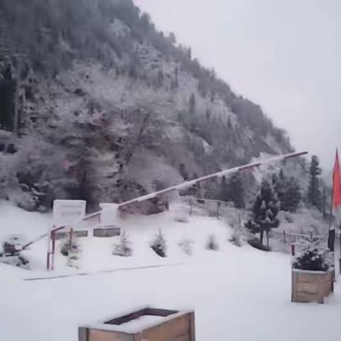 迭部生态建设管护中心大面积覆盖降雪