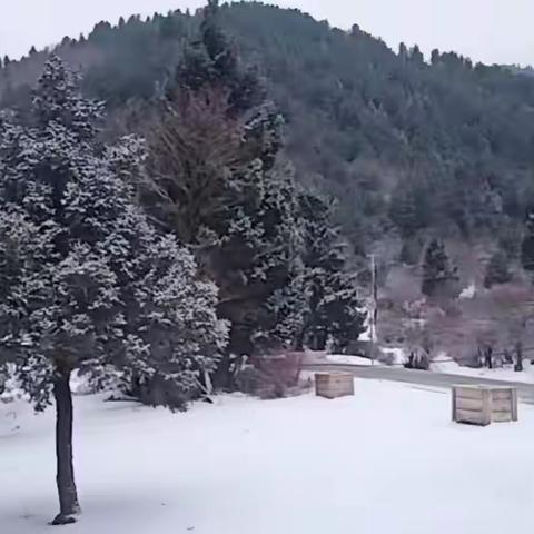 迭部生态建设管护中心2月21日晚降雪情况