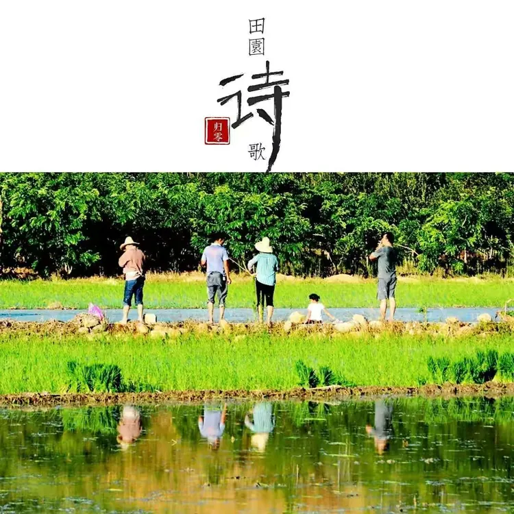 田园诗歌