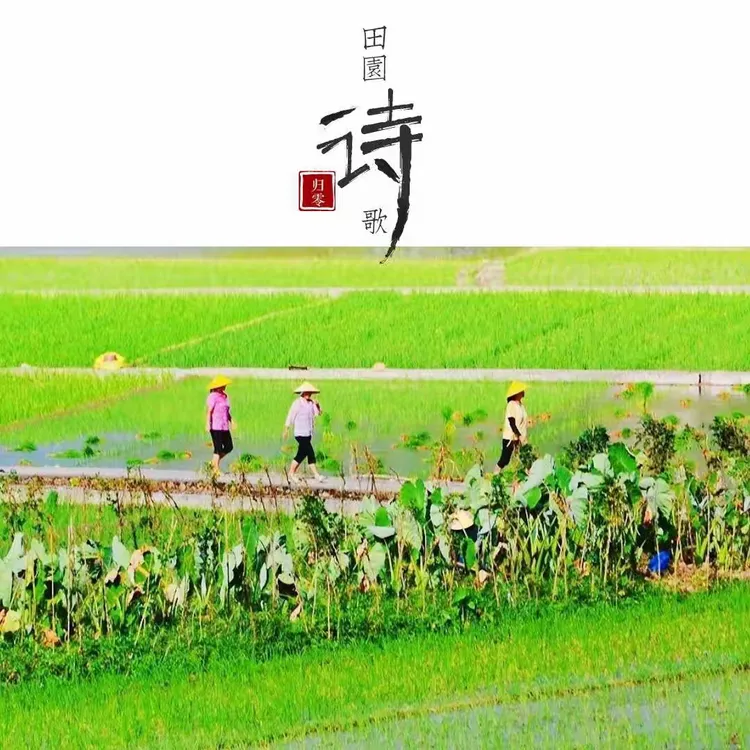 田园诗歌