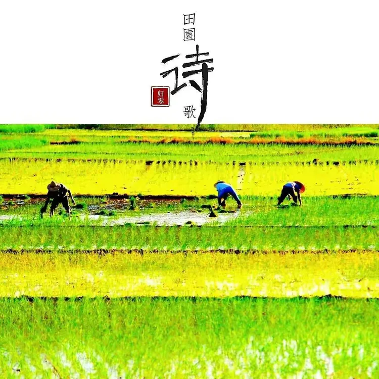 田园诗歌