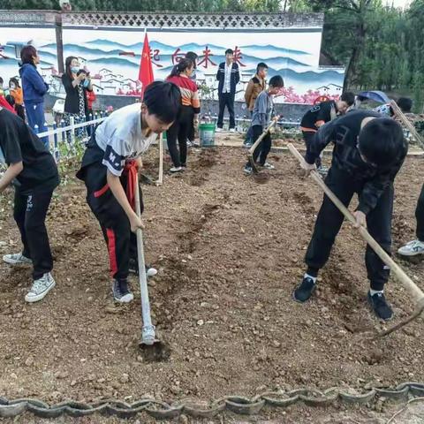 体验农事 品读乡愁 拐河镇传承农耕文化在行动
