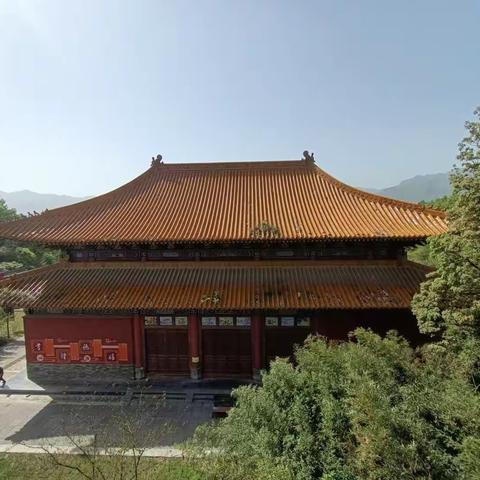 有一种春天，叫大林寺的桃花