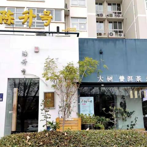 金色茶汤金色季