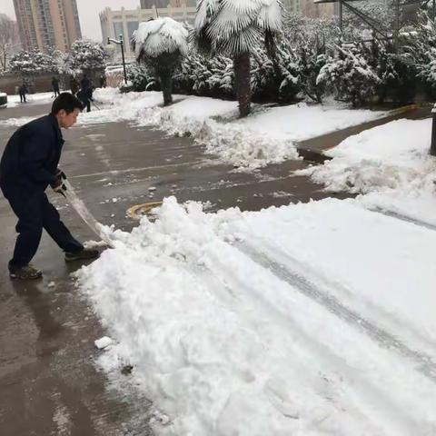 群干齐努力 扫雪为大家