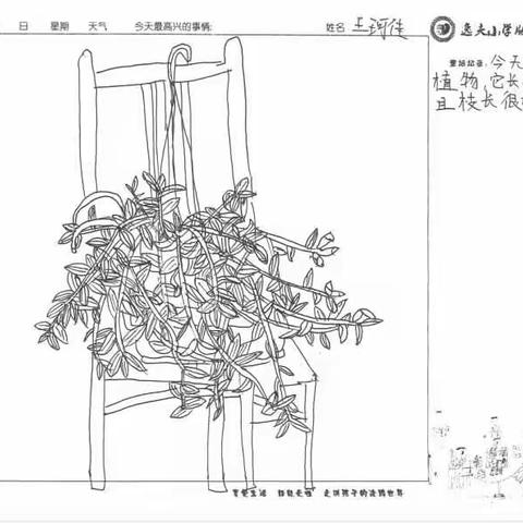 7.24第三次写生作品展示