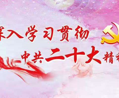 踔厉奋发勇毅前行 深刻学习贯彻党的二十大精神
