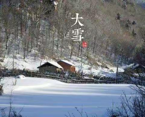 大雪至，寒冬来——仲兴中心幼儿园“知节气，迎大雪”主题活动