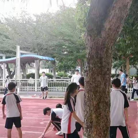 第四周实习记录