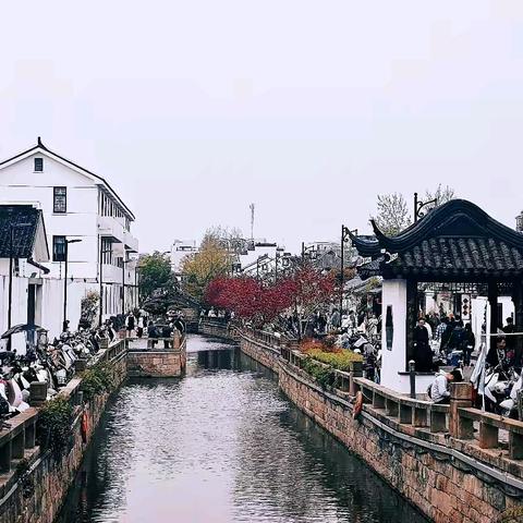 一场春日的温暖之旅