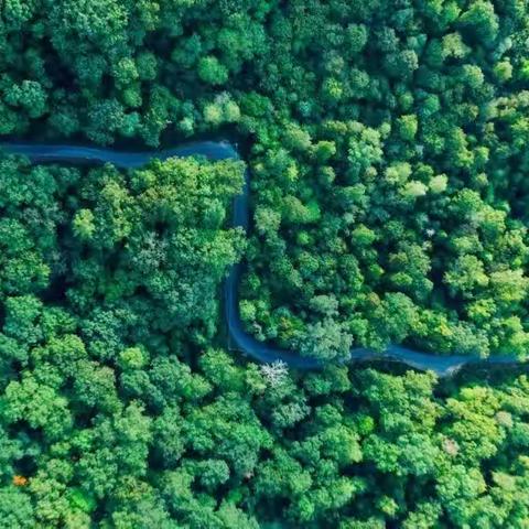 保护我们的家园——川埠幼儿园大4班