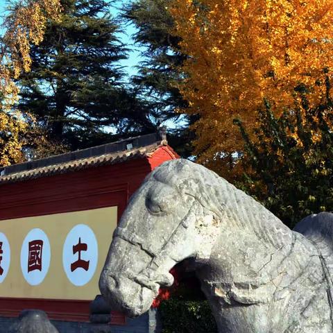 秋色浓郁白马寺