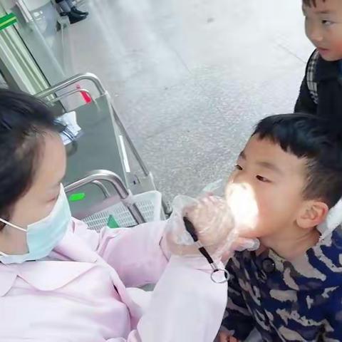 西湖钟书幼儿园小蒙二班第十一周精彩分享