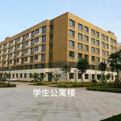 菏泽技师学院2021年8月份招生报名进行中