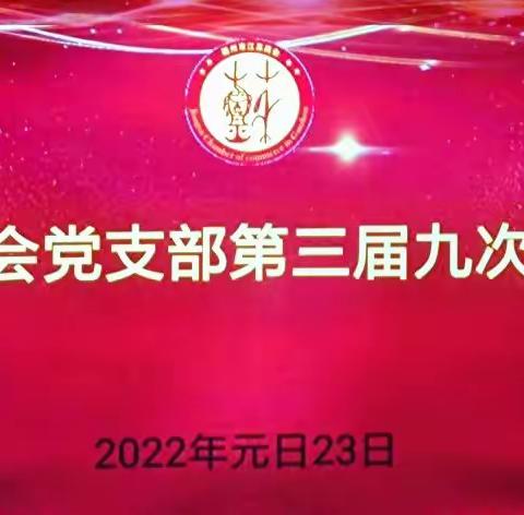 赣州市江苏商会党支部召开党员大会暨党员组织生活会