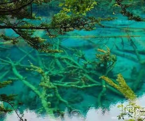 10月17～24九寨、黄龙、郎木寺、扎尕那、莲宝叶则、九曲黄河第一湾、拉卜楞寺，甘南大环线纯玩…