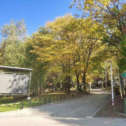 研学教育活动总结