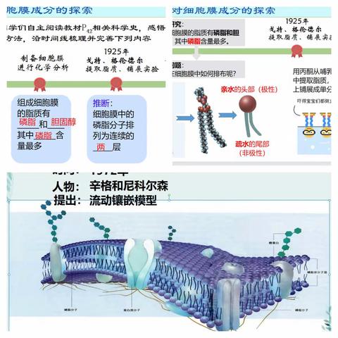 聚集课堂提质效  共话教研促成长