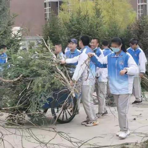 我为校园添新绿，礼赞百年建党节