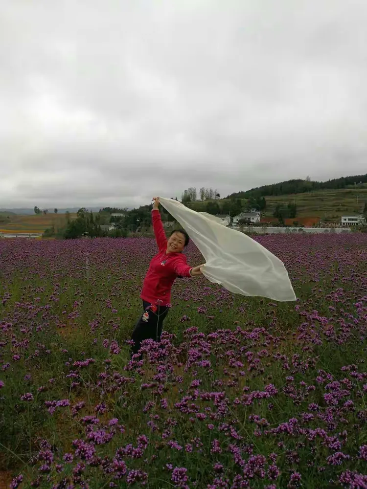 瓮安花海一日游