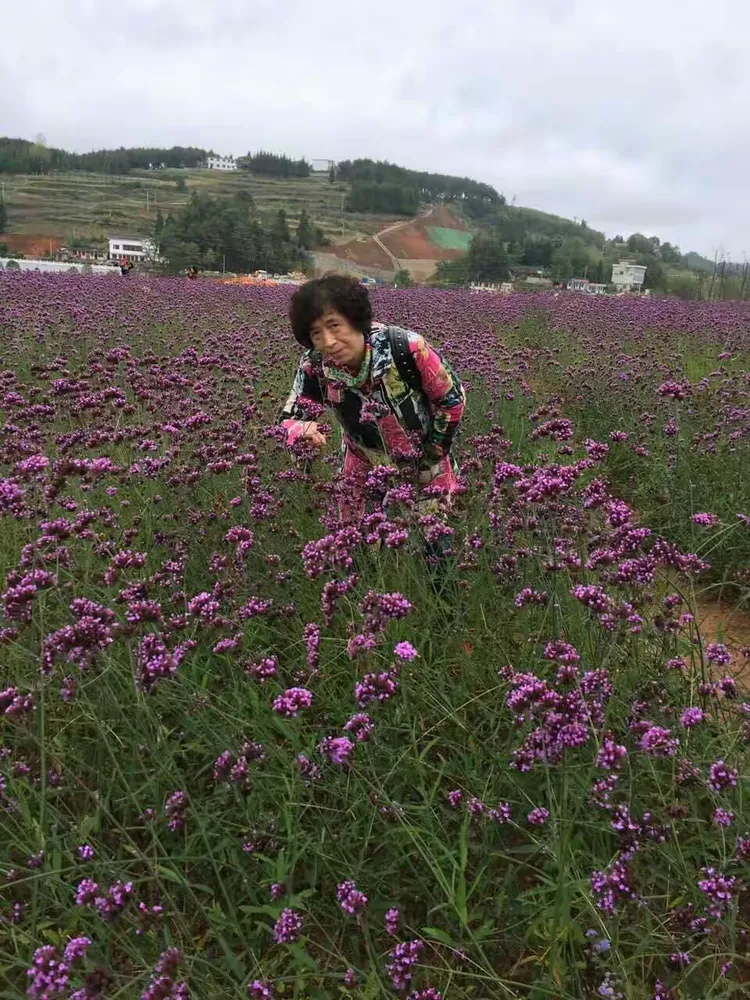 瓮安花海一日游