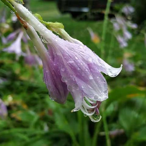 东戴河休假（2018年8月）