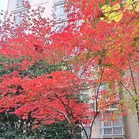 为生活增添点亮色