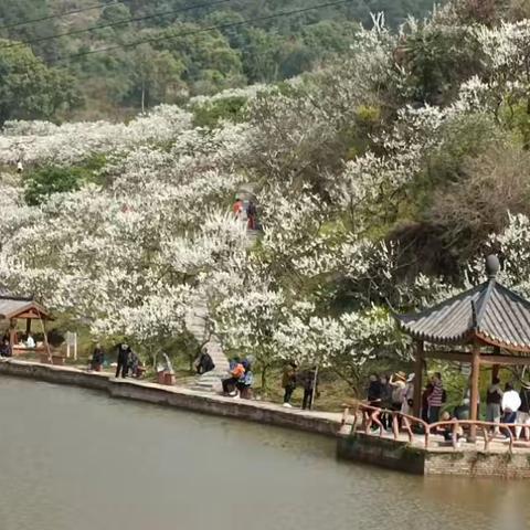 春光灿烂，青春永驻