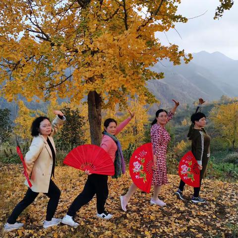 从来银杏不负秋，云山美景任君游