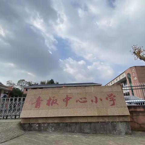 青板中心小学支教心得体会