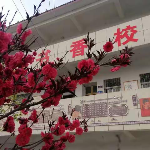 线上教学竟风采，疫情防控至花开——十八里镇郭李庄小学停课不停学活动纪实！