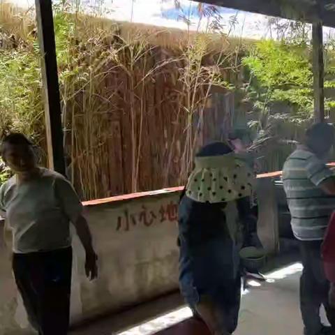 公司活动 2023-7-6-3