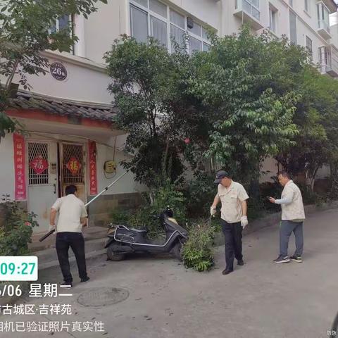 吉祥苑修剪树枝