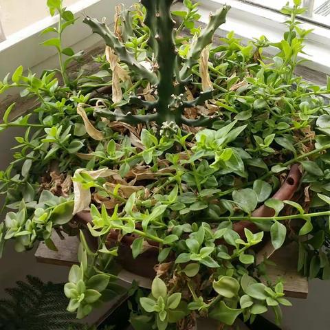 茶余饭后，洗涤心灵，愉悦身心
