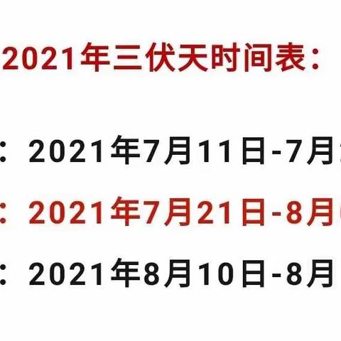 冬病夏治疗效好  督脉灸温阳作用强