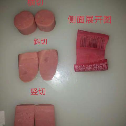指尖上的数学—圆柱横截面及侧面展开图研究小记