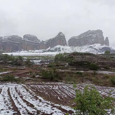 壶山网格员雪后排查受灾情况