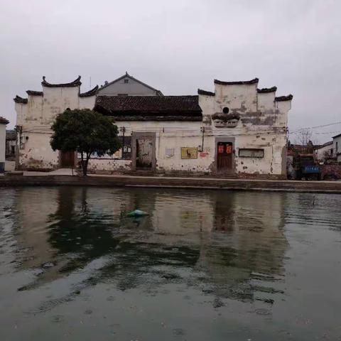 太婆领我找寻文化足迹（姜羿楠）